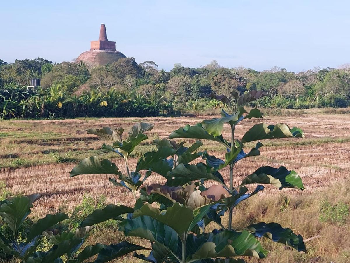 Green Shield Resort Anuradhapura Exterior photo