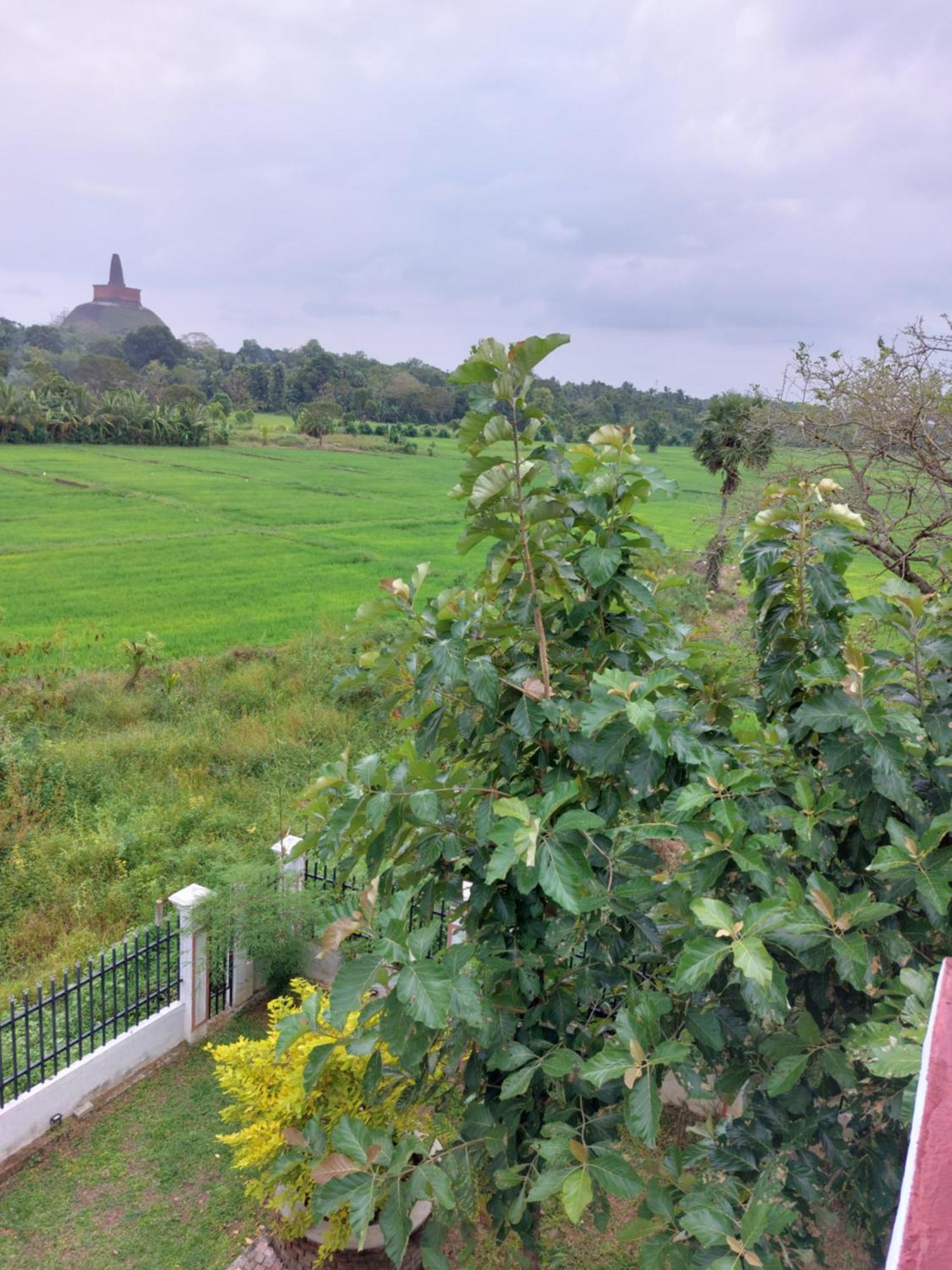 Green Shield Resort Anuradhapura Exterior photo