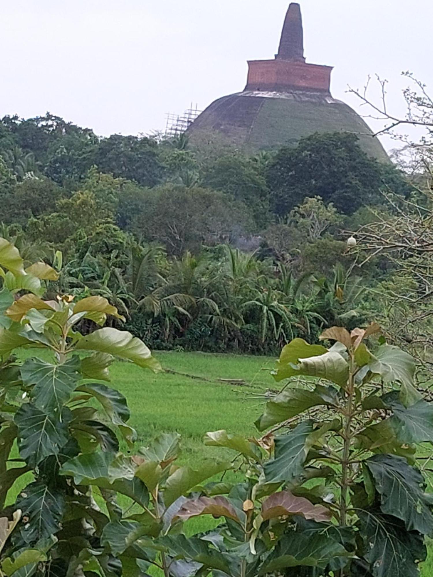 Green Shield Resort Anuradhapura Exterior photo